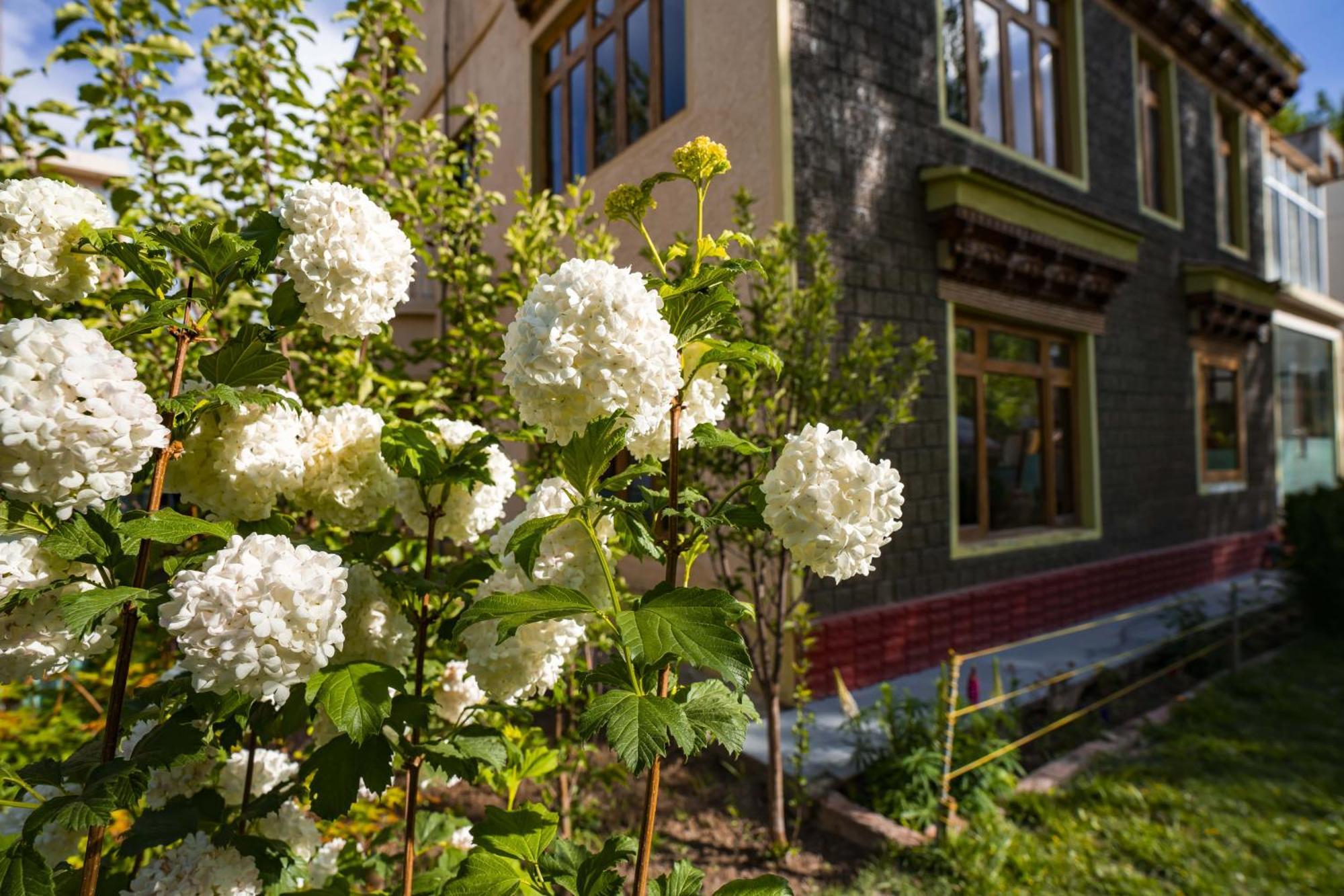 Rainbow Holiday Home Leh Ngoại thất bức ảnh